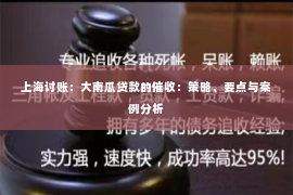 上海讨账：大南瓜贷款的催收：策略、要点与案例分析