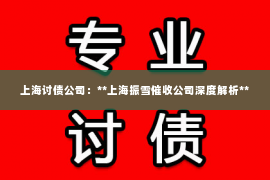 上海讨债公司：**上海振雪催收公司深度解析**