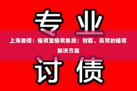 上海要债：催收宝催收系统：智能、高效的催收解决方案