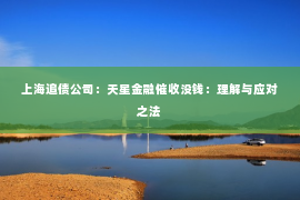 上海追债公司：天星金融催收没钱：理解与应对之法