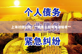 上海讨债公司：**我怎么起诉电话催收**