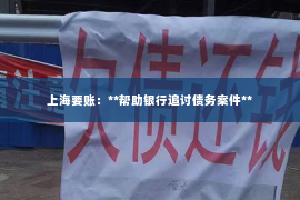 上海要账：**帮助银行追讨债务案件**