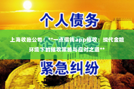 上海收账公司：**一点借钱app催收：现代金融环境下的催收策略与应对之道**