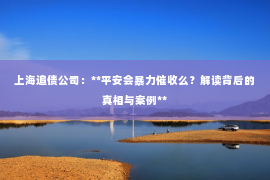 上海追债公司：**平安会暴力催收么？解读背后的真相与案例**