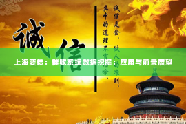 上海要债：催收系统数据挖掘：应用与前景展望