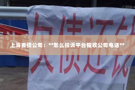 上海要债公司：**怎么投诉平台催收公司电话**