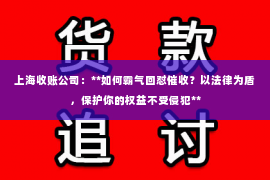 上海收账公司：**如何霸气回怼催收？以法律为盾，保护你的权益不受侵犯**