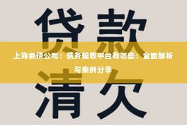 上海要债公司：债务催收平台有哪些：全面解析与案例分享