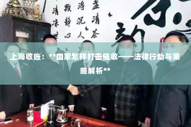 上海收账：**国家怎样打击催收——法律行动与策略解析**