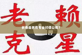 长春是否有专业讨债公司？