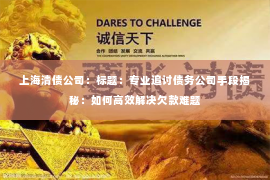 上海清债公司：标题：专业追讨债务公司手段揭秘：如何高效解决欠款难题
