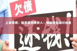 上海收债：催收查找债务人：揭秘债务追讨的奥秘