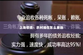 上海收债：农村现在怎么要账