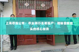 上海收账公司：农业银行主要账户：揭秘金融巨头的核心服务
