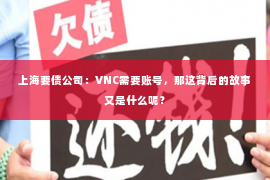 上海要债公司：VNC需要账号，那这背后的故事又是什么呢？