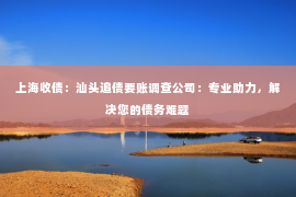 上海收债：汕头追债要账调查公司：专业助力，解决您的债务难题