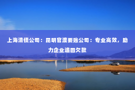 上海清债公司：昆明官渡要账公司：专业高效，助力企业追回欠款
