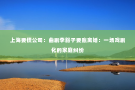 上海要债公司：曲剧李豁子要账离婚：一场戏剧化的家庭纠纷