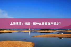 上海收债：标题：做什么需要账户流水？