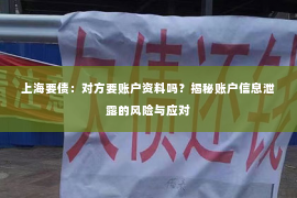 上海要债：对方要账户资料吗？揭秘账户信息泄露的风险与应对