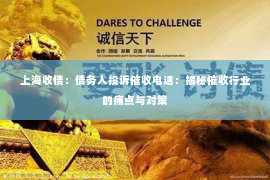 上海收债：债务人投诉催收电话：揭秘催收行业的痛点与对策
