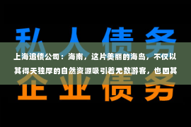 上海追债公司：海南，这片美丽的海岛，不仅以其得天独厚的自然资源吸引着无数游客，也因其独特的商业环境孕育了一批专业的服务公司。今天，我们就来聊聊海南正规要账公司，看看它们是如何在商业世界中发挥作用的。