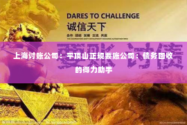 上海讨账公司：平顶山正规要账公司：债务回收的得力助手