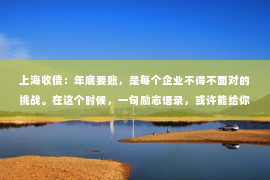 上海收债：年底要账，是每个企业不得不面对的挑战。在这个时候，一句励志语录，或许能给你带来无穷的力量。今天，就让我们一起来看看那些鼓舞人心的年底要账励志语录，为你的要账之路增添一份信心和动力。