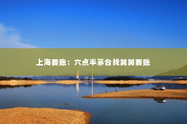 上海要账：六点半茅台找舅舅要账