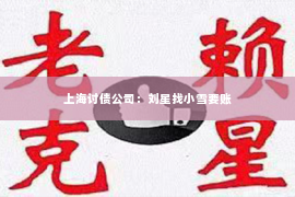 上海讨债公司：刘星找小雪要账