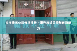 银行催收业绩分析报告 - 提升风险管控与还款能力