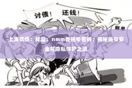 上海收债：标题：nmm要账号密码：揭秘账号安全与隐私保护之道