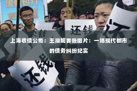 上海收债公司：王漫妮要账图片：一场现代都市的债务纠纷纪实