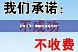 上海追债：审图需要账号吗？