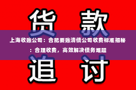 上海收账公司：合肥要账清债公司收费标准揭秘：合理收费，高效解决债务难题