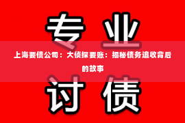 上海要债公司：大侦探要账：揭秘债务追收背后的故事
