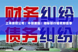 上海要债公司：中银要账：揭秘银行催收那些事儿