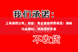 上海追债公司：标题：专业要账收费规定：揭秘行业规则，保障债权安全