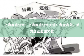 上海要账公司：上海要账公司天道：专业高效，助力企业追回欠款