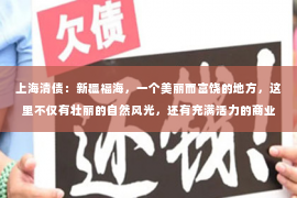 上海清债：新疆福海，一个美丽而富饶的地方，这里不仅有壮丽的自然风光，还有充满活力的商业氛围。在这个地区，要账公司的作用尤为突出，它们如同商业生态中的一股清流，为维护市场秩序、保障债权人的合法权益发挥着不可或缺的作用。今天，我们就来聊聊新疆福海的要账公司，看看它们是如何在这个地区发挥作用的。