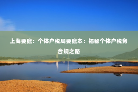 上海要账：个体户税局要账本：揭秘个体户税务合规之路