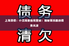 上海清债：小沈阳要账完整版：揭秘娱乐圈的债务风波