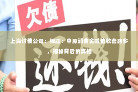 上海讨债公司：标题：中原消费金融催收套路多，揭秘背后的真相