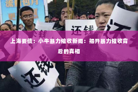 上海要债：小牛暴力催收新闻：揭开暴力催收背后的真相