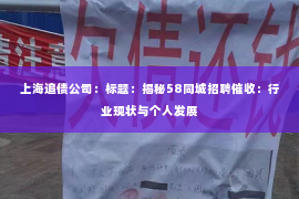 上海追债公司：标题：揭秘58同城招聘催收：行业现状与个人发展