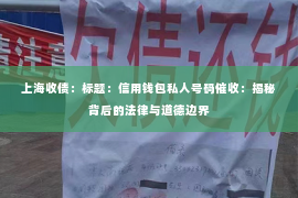 上海收债：标题：信用钱包私人号码催收：揭秘背后的法律与道德边界