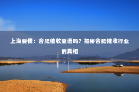 上海要债：合肥催收靠谱吗？揭秘合肥催收行业的真相