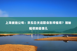 上海要账公司：京东白天逾期会怎样催收？揭秘催收那些事儿