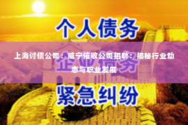 上海讨债公司：咸宁催收公司招聘：揭秘行业动态与职业发展