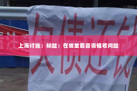 上海讨账：标题：在哪里能咨询催收问题